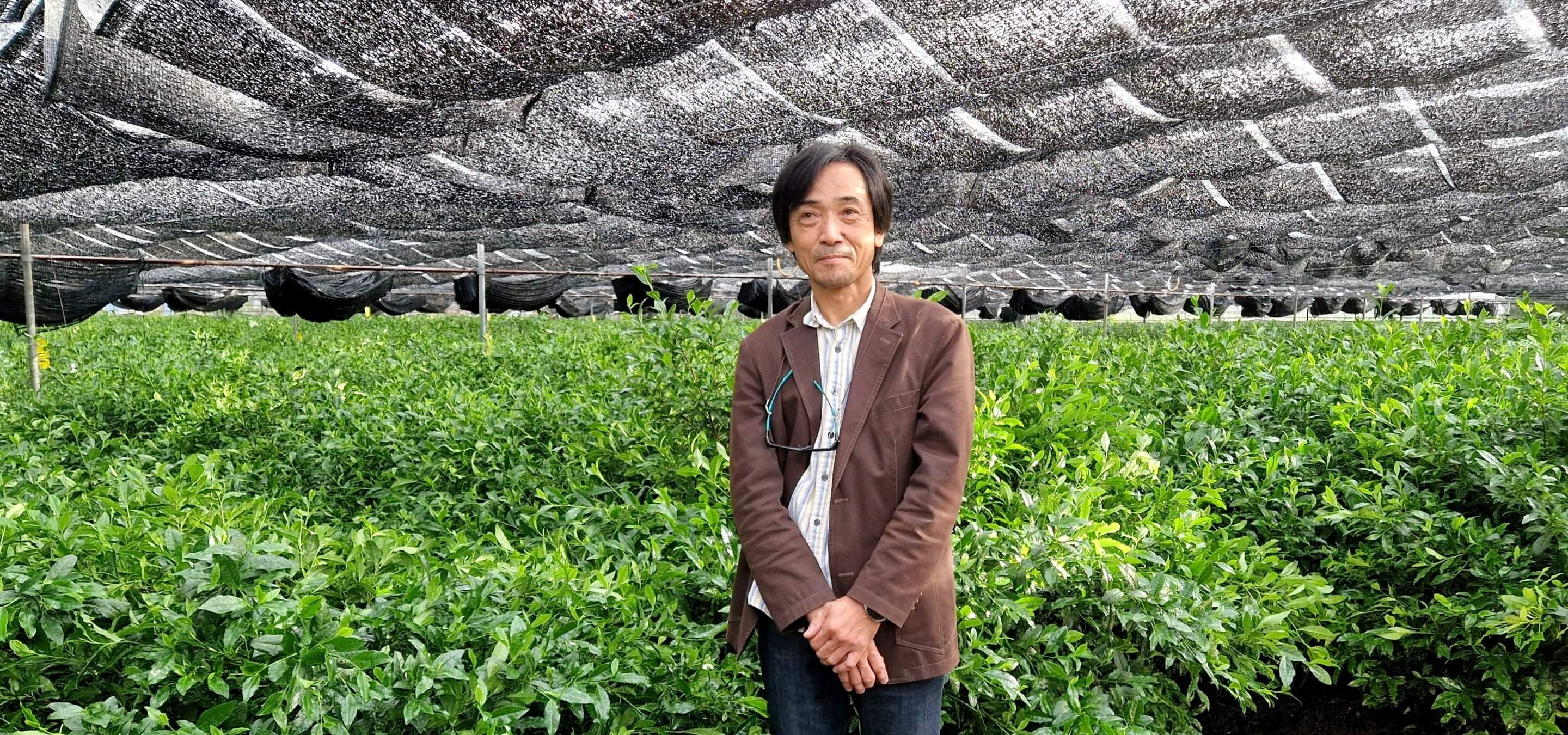 Herr Nakanishi in seinem beschatteten Teegarten