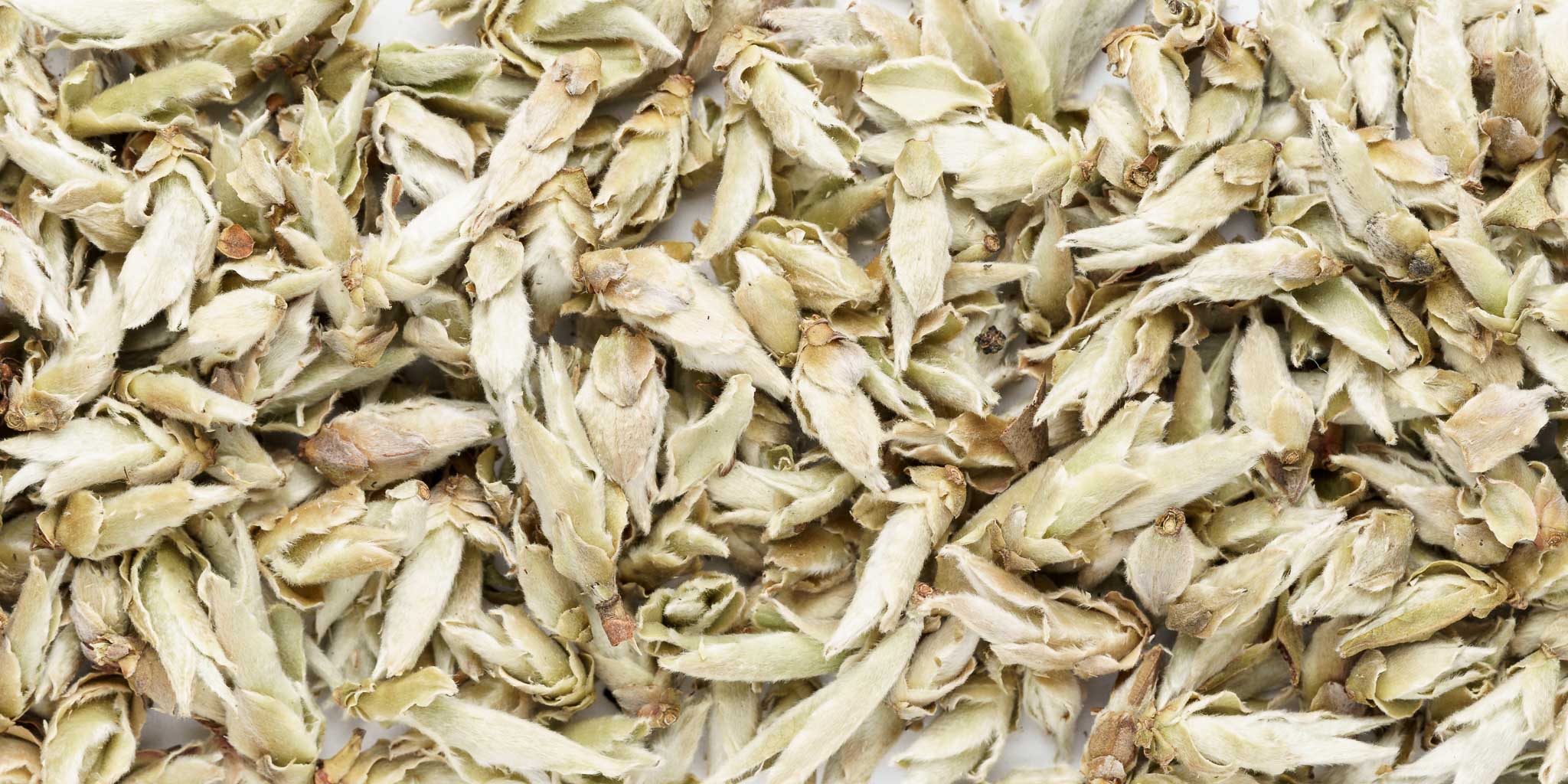 Weißer Tee und Oolong im Moses Shop