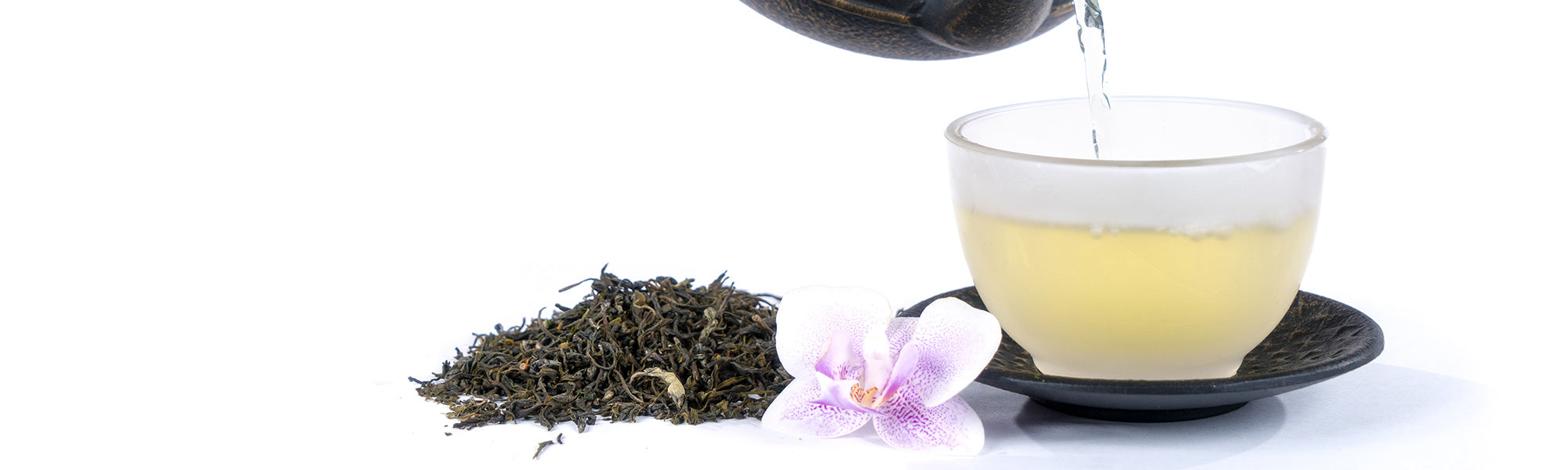 Frisch aufgebrühter grüner Tee in Glas-Tasse mit losem Tee und Blüte auf weißem Hintergrund – grüner Tee kaufen bei tee-shopo.shop
