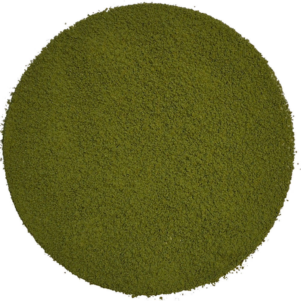 Hochwertiges Matcha Ceremony Grade Bio-Pulver – tiefgrüner japanischer Grüntee für die traditionelle Teezubereitung