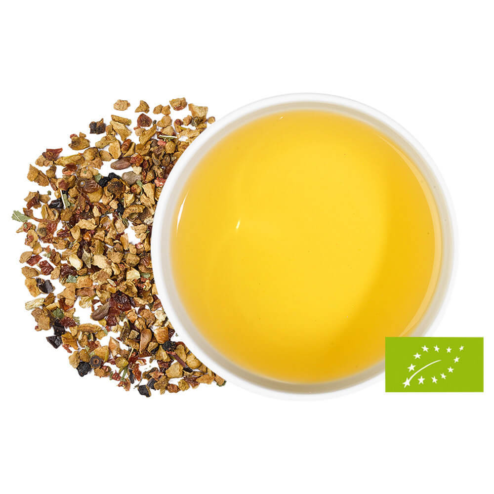 Früchtetee Holunder Orange & Vanille bio aufgebrüht