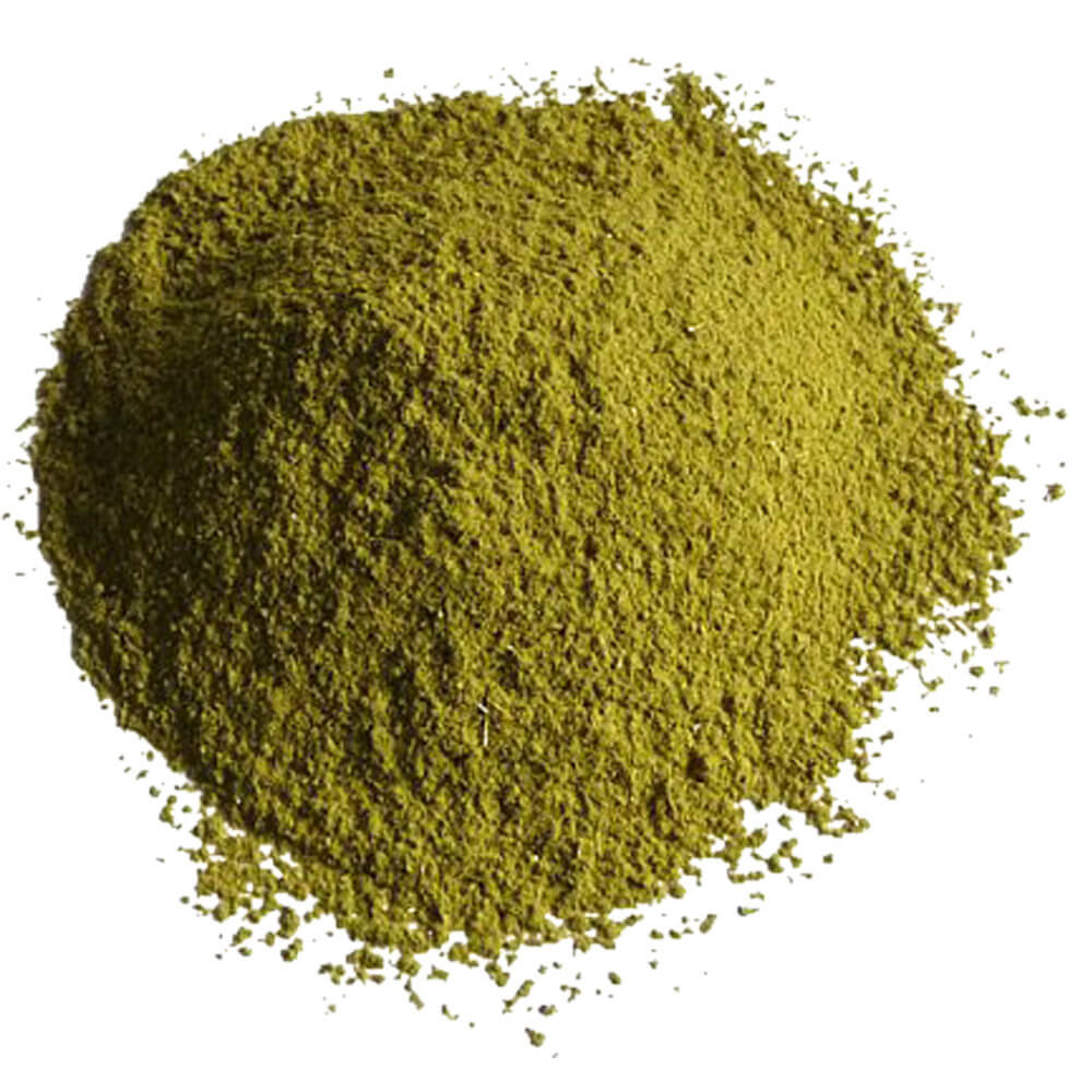 Lockeres, olivgrünes Pulver des Morimoto Kafun Catechin Tees bio – reich an Methyl-Catechinen, ideal zur täglichen Anwendung in Wasser oder Saft.