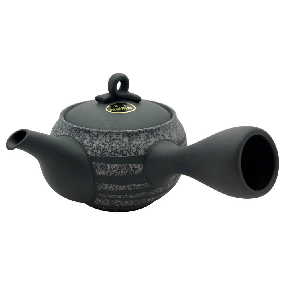 Kyusu aus Tokoname Tenten-Sen gestreift 1