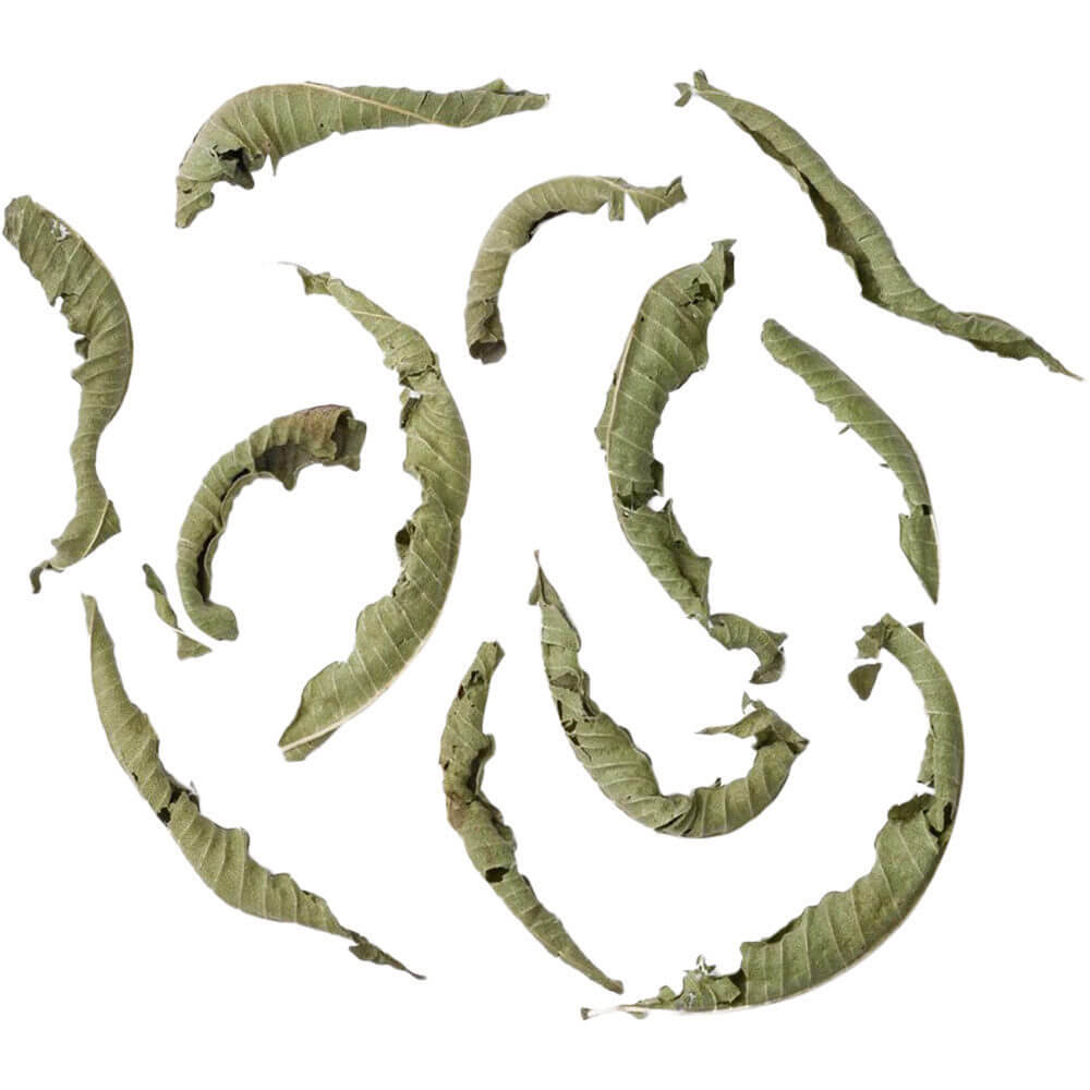 Kräutertee Verveine bio lose