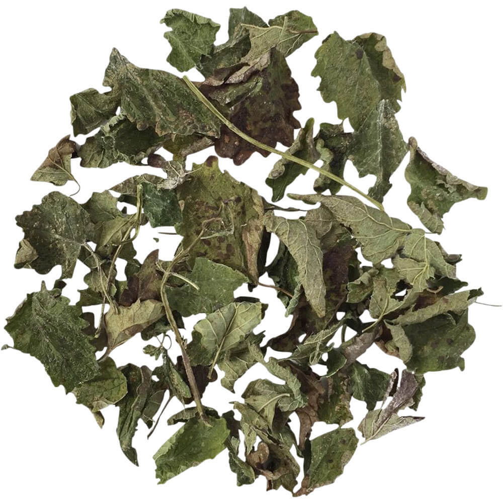 Kräutertee Zitronenmelisse Portugal bio lose